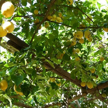 Marina Grande & Lägenhet *